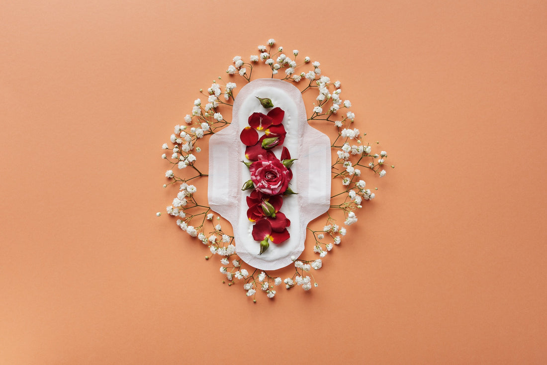 Menstruation 101: Understanding Your Monthly Cycle